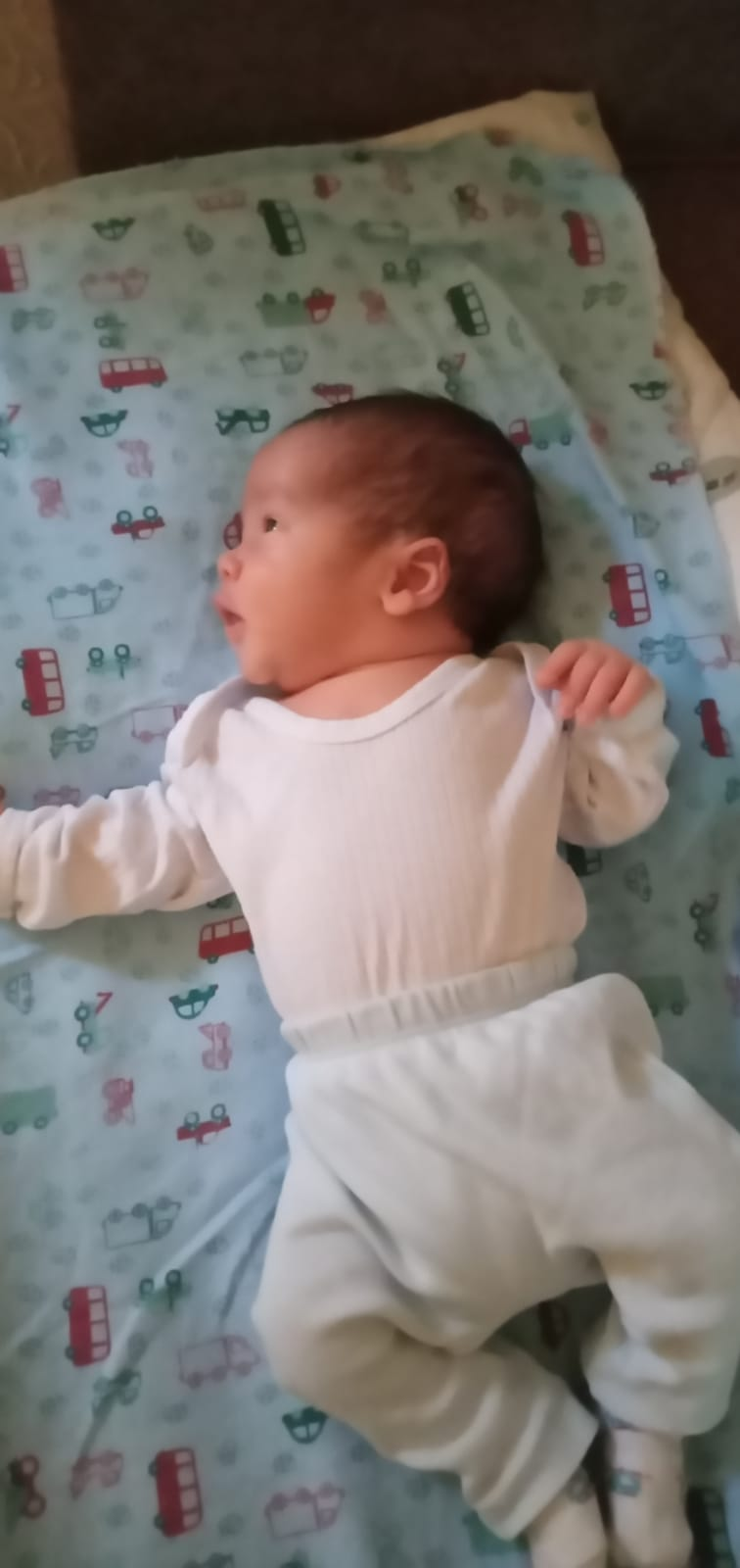 Nossos primeiros dias em casa